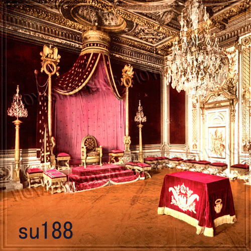 Indoor 10’x10′ Computer-painted (CP) Scenic Photo Background Backdrop SU188B881