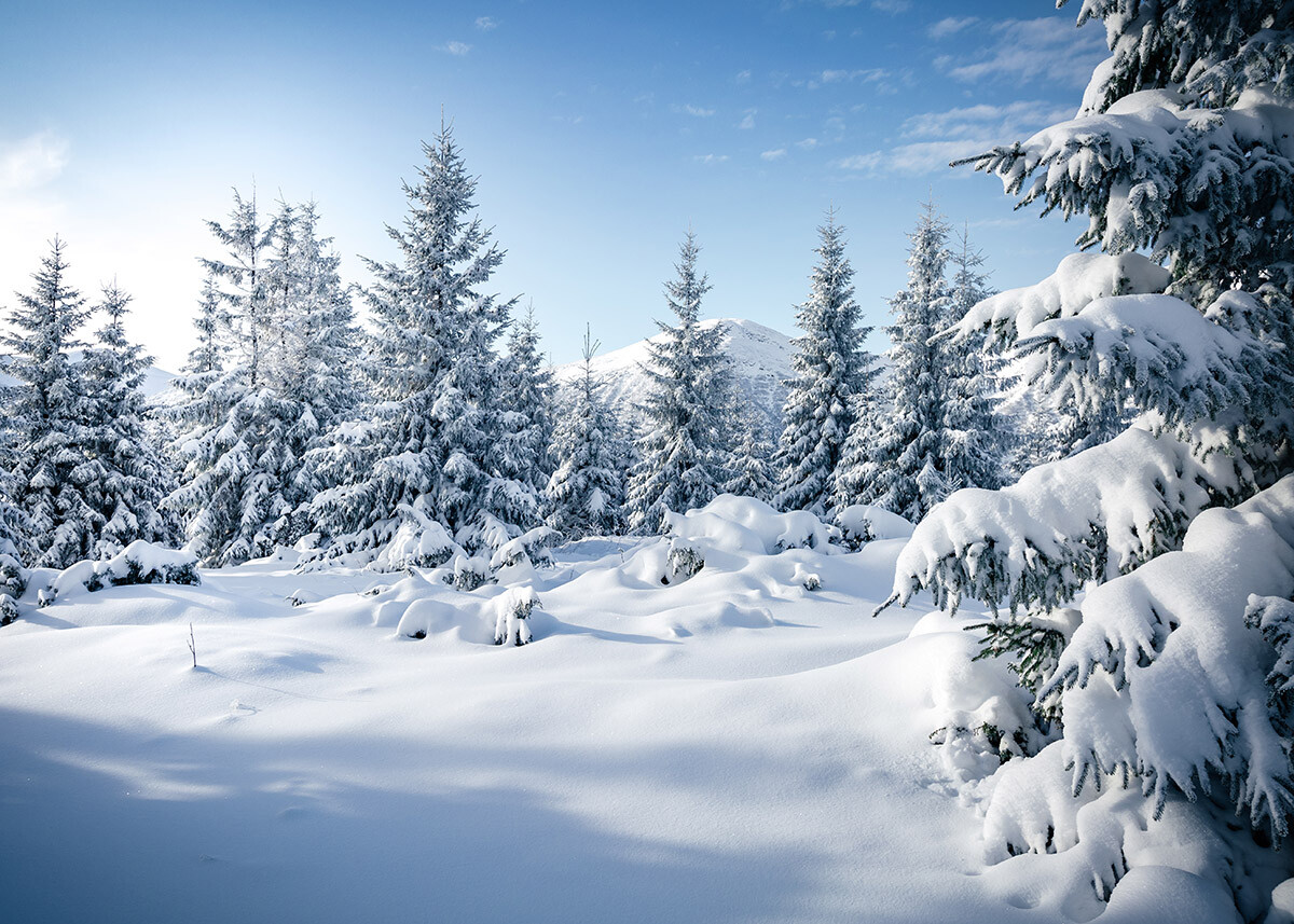 Winter Snow Scene Backdrop Snow-covered Forest Mountains Background Studio Props