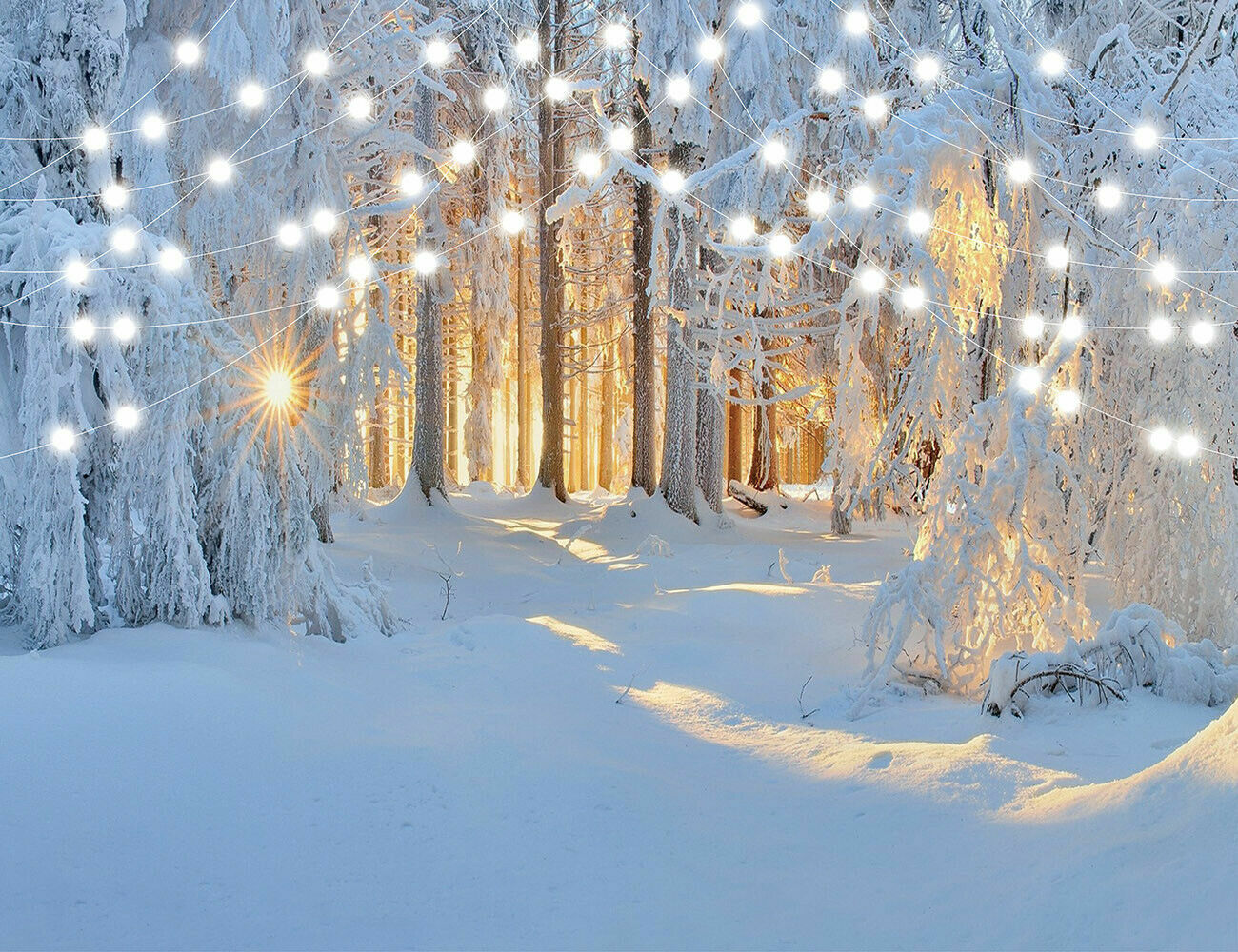 Winter Snow Scene Backdrop Retro Christmas Town Barn Background Studio Props