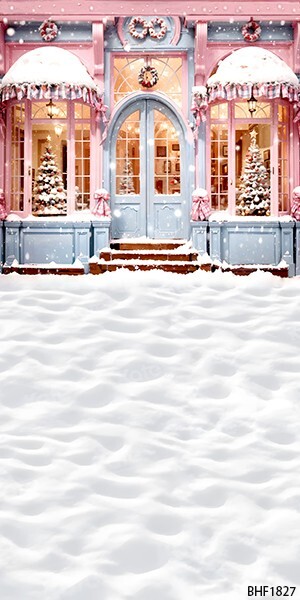 10’x20′ CP Christmas Season Scenic Microfiber Fabric background backdrop BHF1827