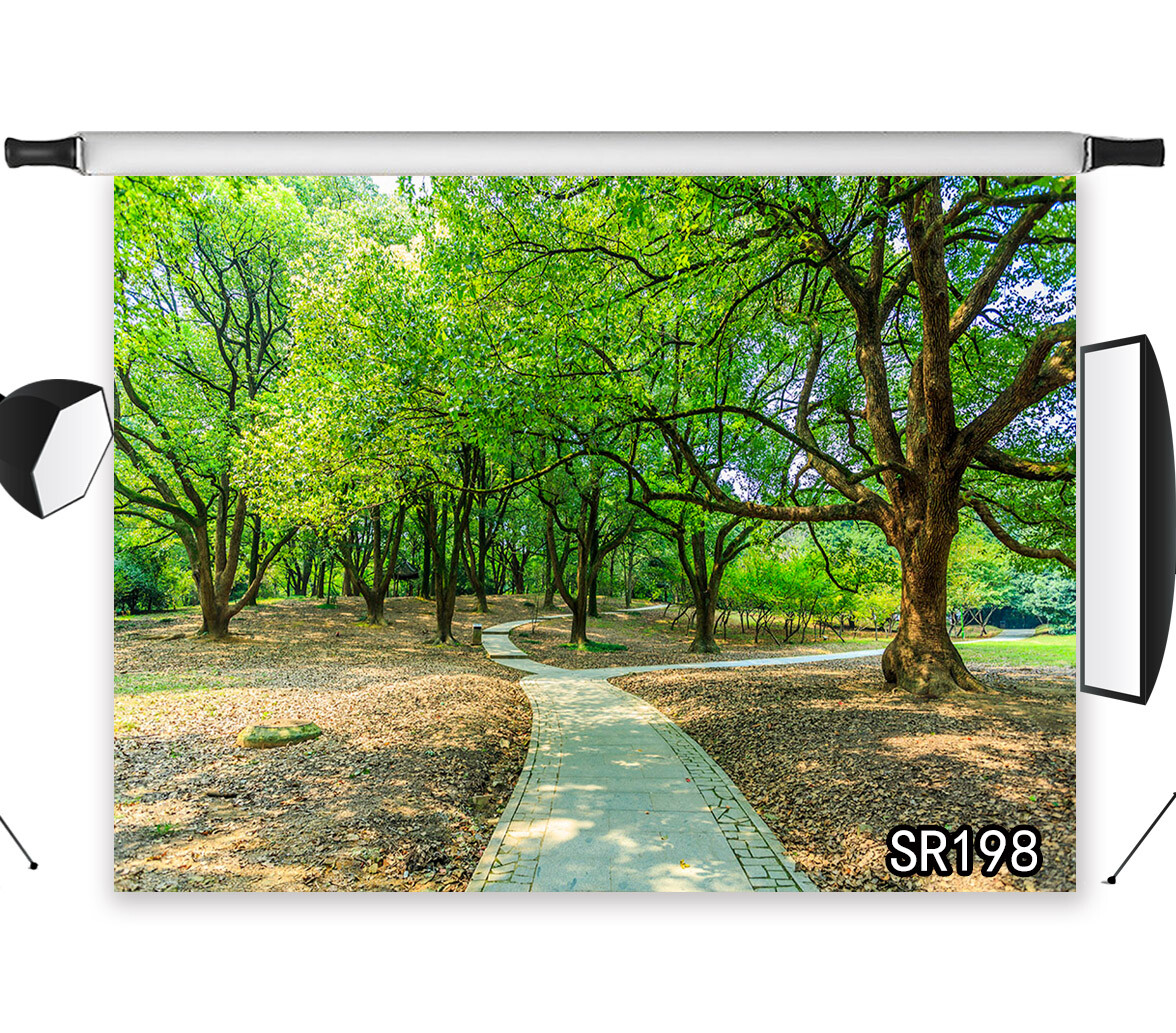 10x8ft Photo Background Vinyl Studio Backdrop Sunlight Summer Forest Green Trees