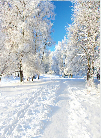 Snow Photography Background Winter Photographic Backdrop Christmas Stage Party