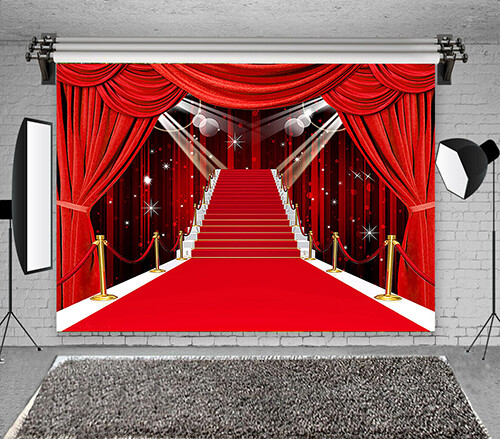 stage 5’x7′ Computer/ Digital Scenic Vinyl Photo Background Backdrop BHS108