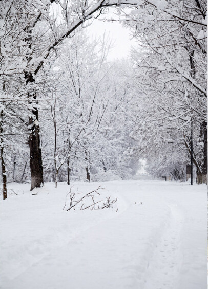 Snow Photography Background Winter Photographic Backdrop Christmas Stage Party