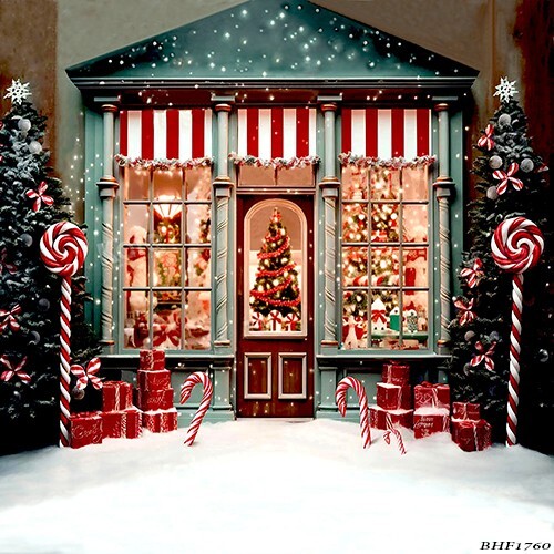 10’x10′ CP Christmas Season Scenic Microfiber Fabric background backdrop BHF1760