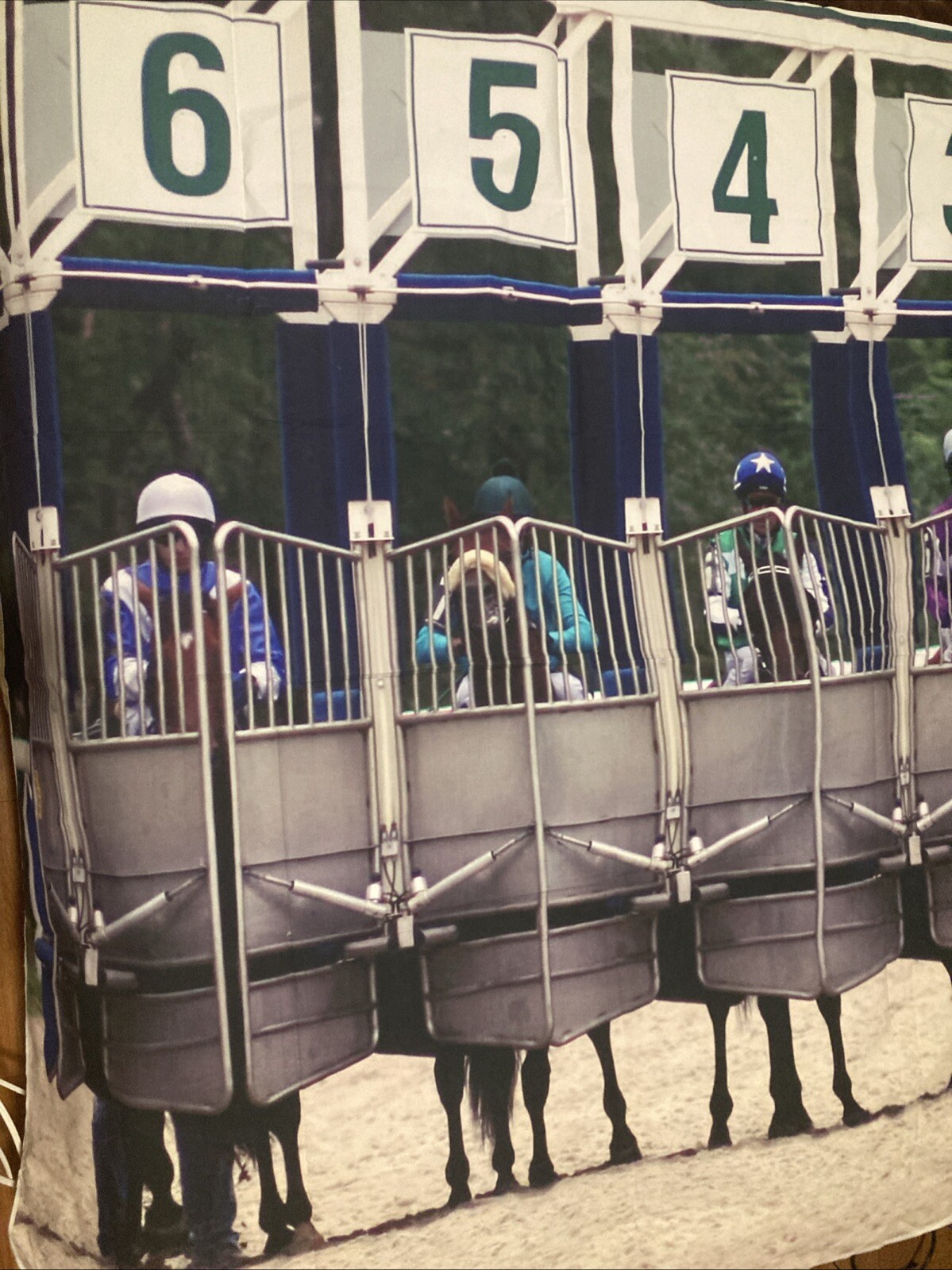 Horse Racing Photo Booth Backdrop Indoor … 7ftx5ft