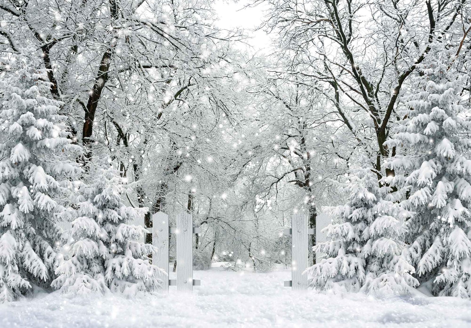 7x5FT White Winter Forest Scene Photography Backdrop Wonderland Snowflake Lan…