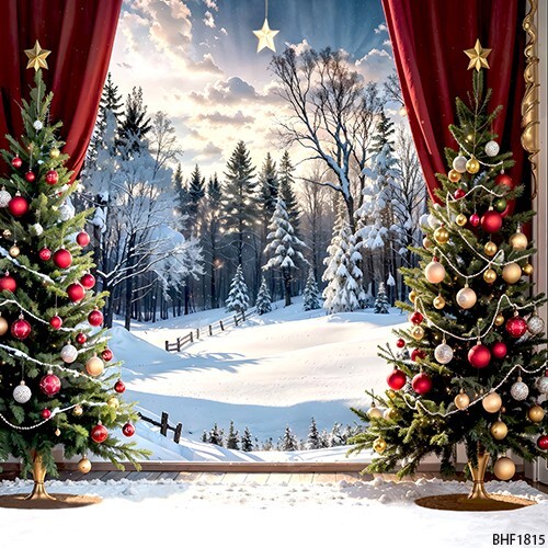 10’x10′ CP Christmas Season Scenic Microfiber Fabric background backdrop BHF1815