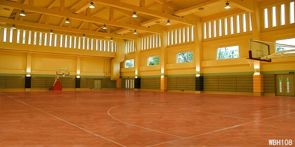 20’x10′ CP Basketball Court Scenic Microfiber Fabric background backdrop WBH108