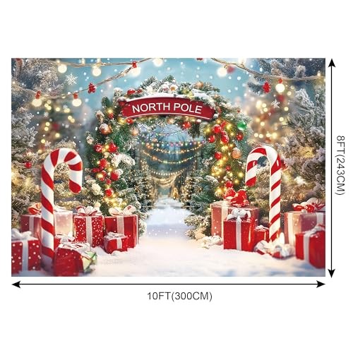 Winter Snow Scene with Candy Canes – Christmas Backdrop