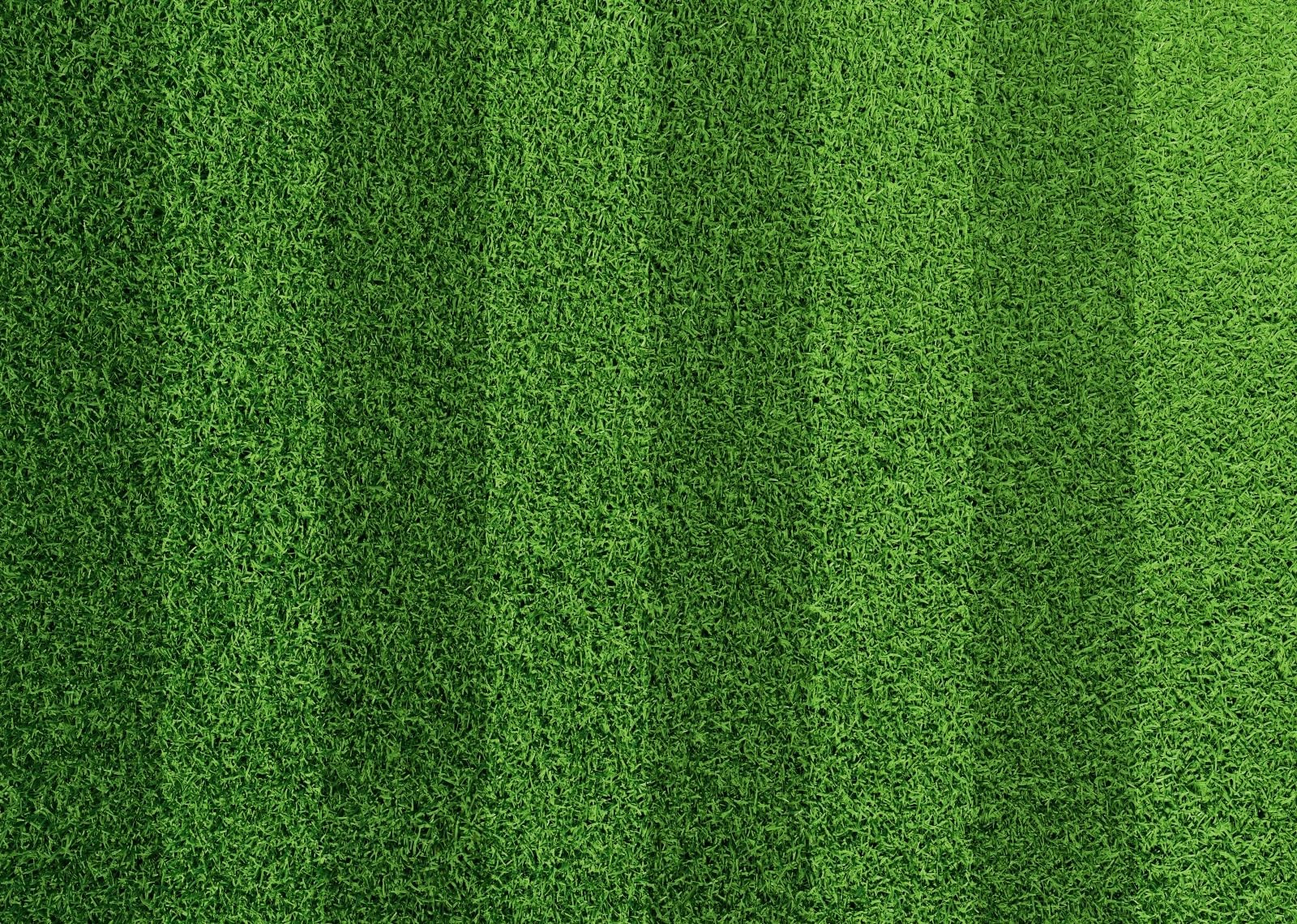 7x5ft Fabric Green Grass Lawn Backdrop Football Stadium Soccer Field Sports G…