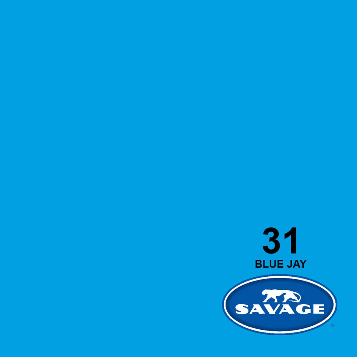 Savage 2 Pack Widetone Seamless Background Paper, 86″ wide x 36′ Blue Jay, #31 –
