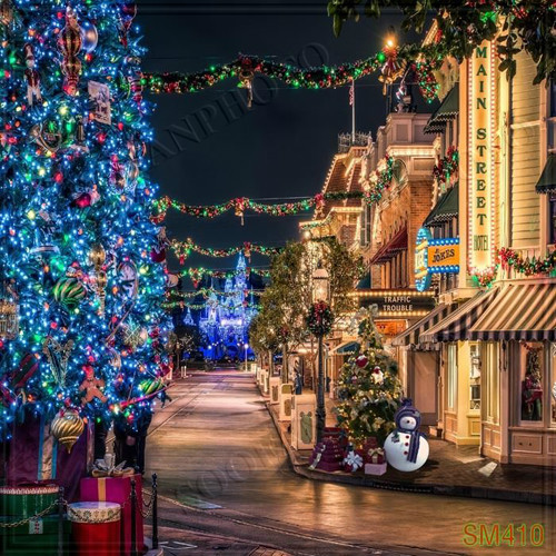 Christmas 8’x8′ Computer-painted Scenic Photo Background Backdrop SM410B881