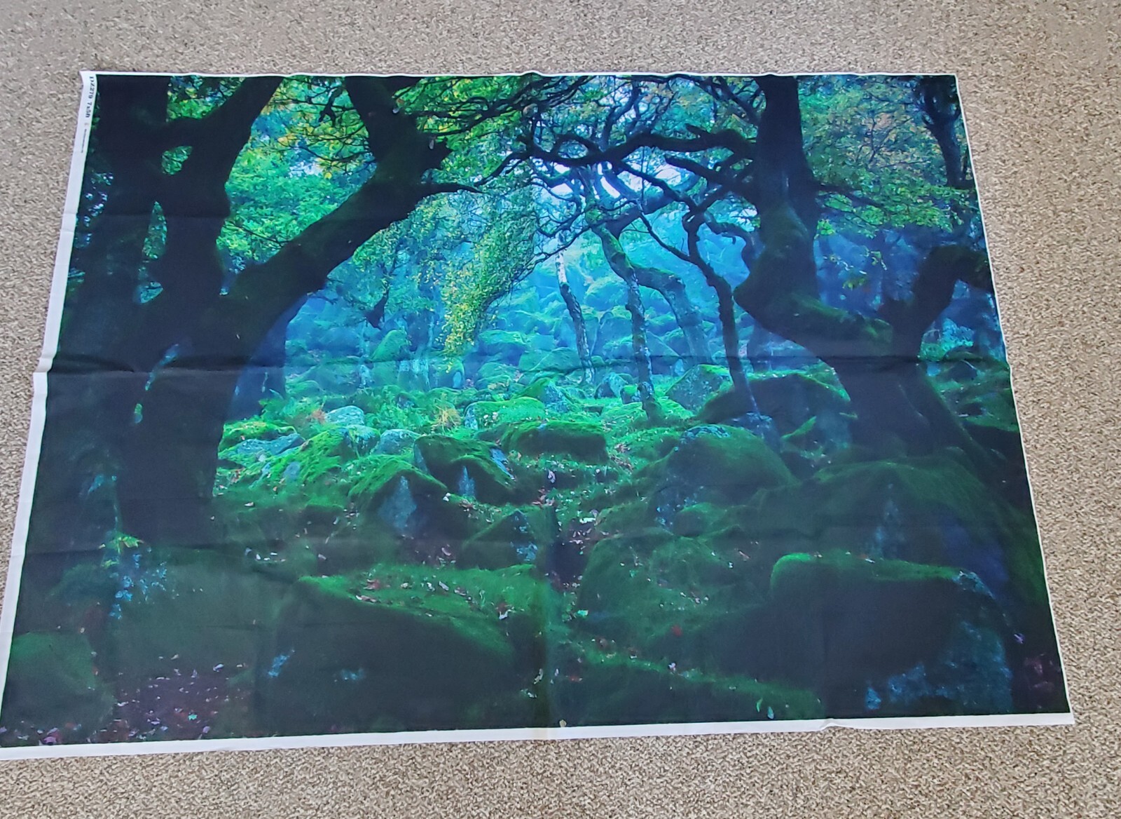 Photography Background Backdrop Vinyl 5’x 7′ Blue and Green Scene
