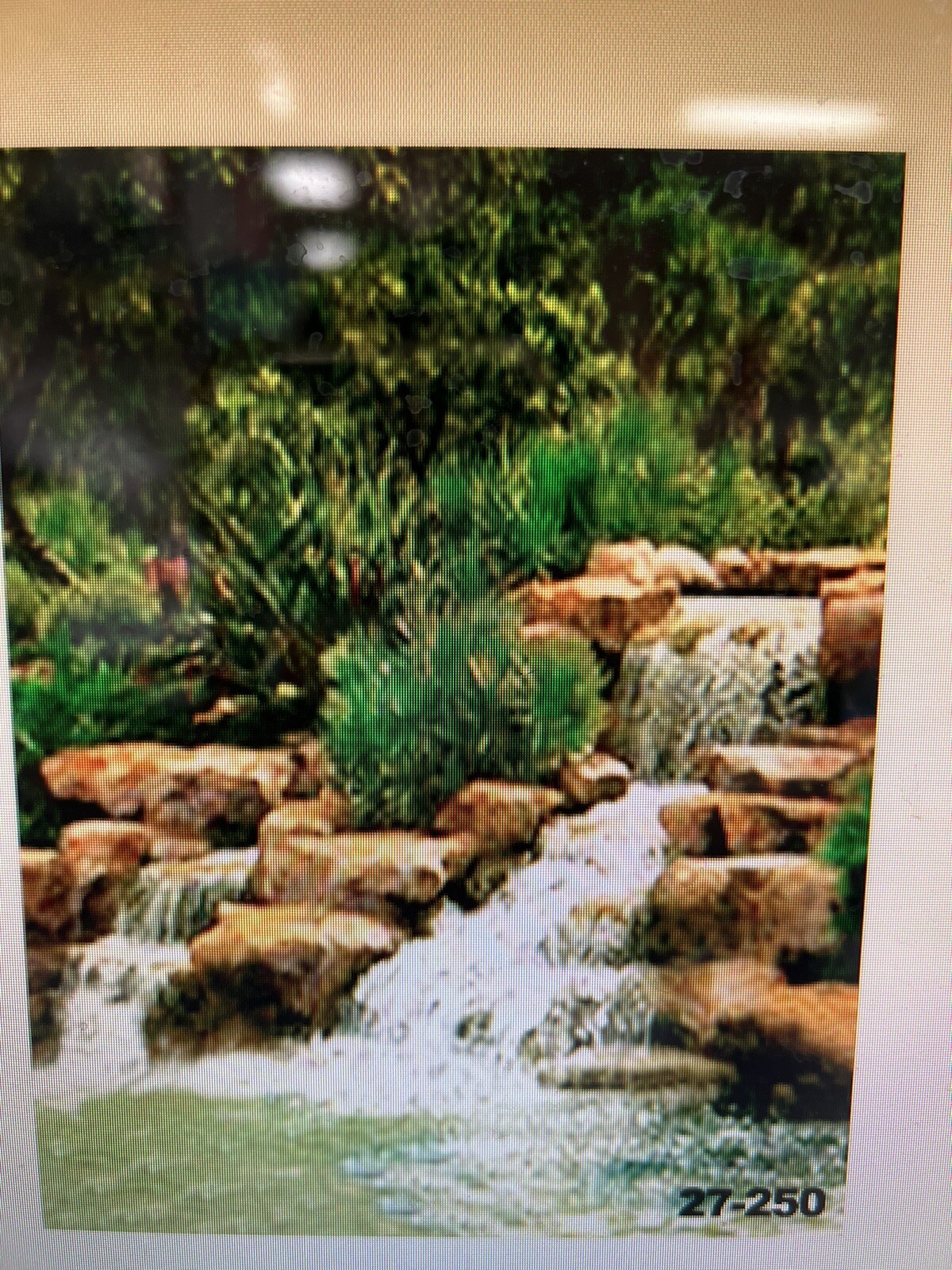 10*20 Ft Muslin 100% Airbrush Painted Photo Backdrop Spring background 27-250