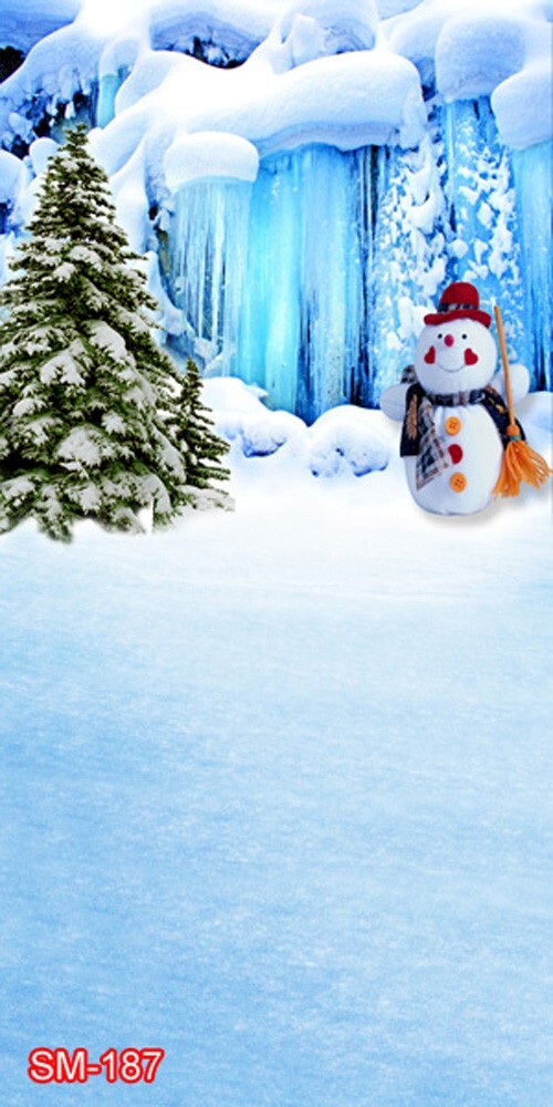 10’x20′ CP Christmas Season Scenic Microfiber Fabric background backdrop SM187