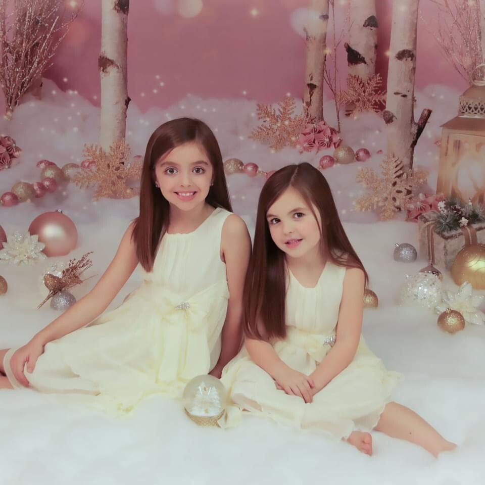 Baby Dream 6’x8’ Wonderful Winter Christmas Fleece Backdrop Used Once