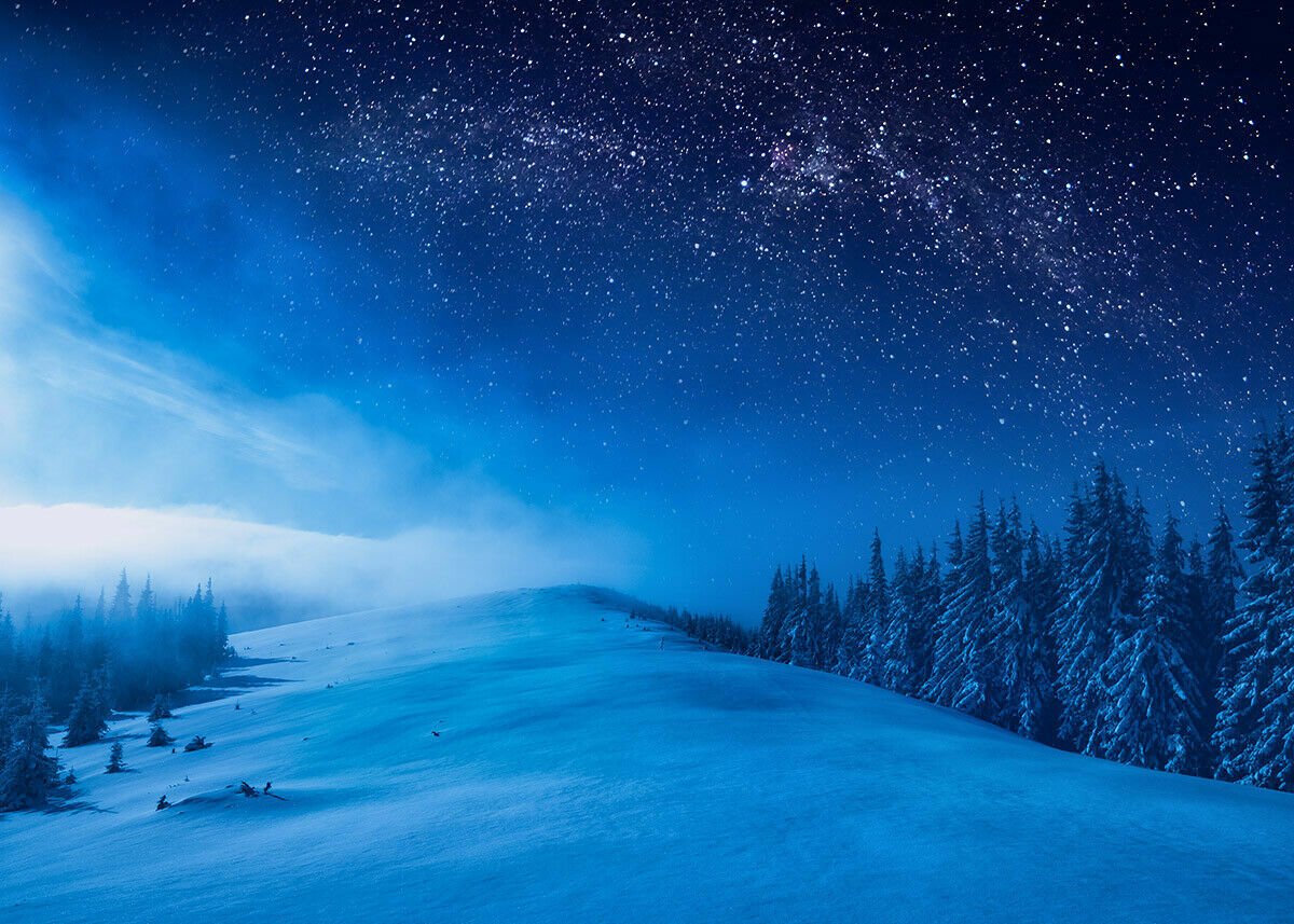 7X5FT Winter Snow Vinyl Backdrop Cedar Forest Props Starry Sky Photo Background