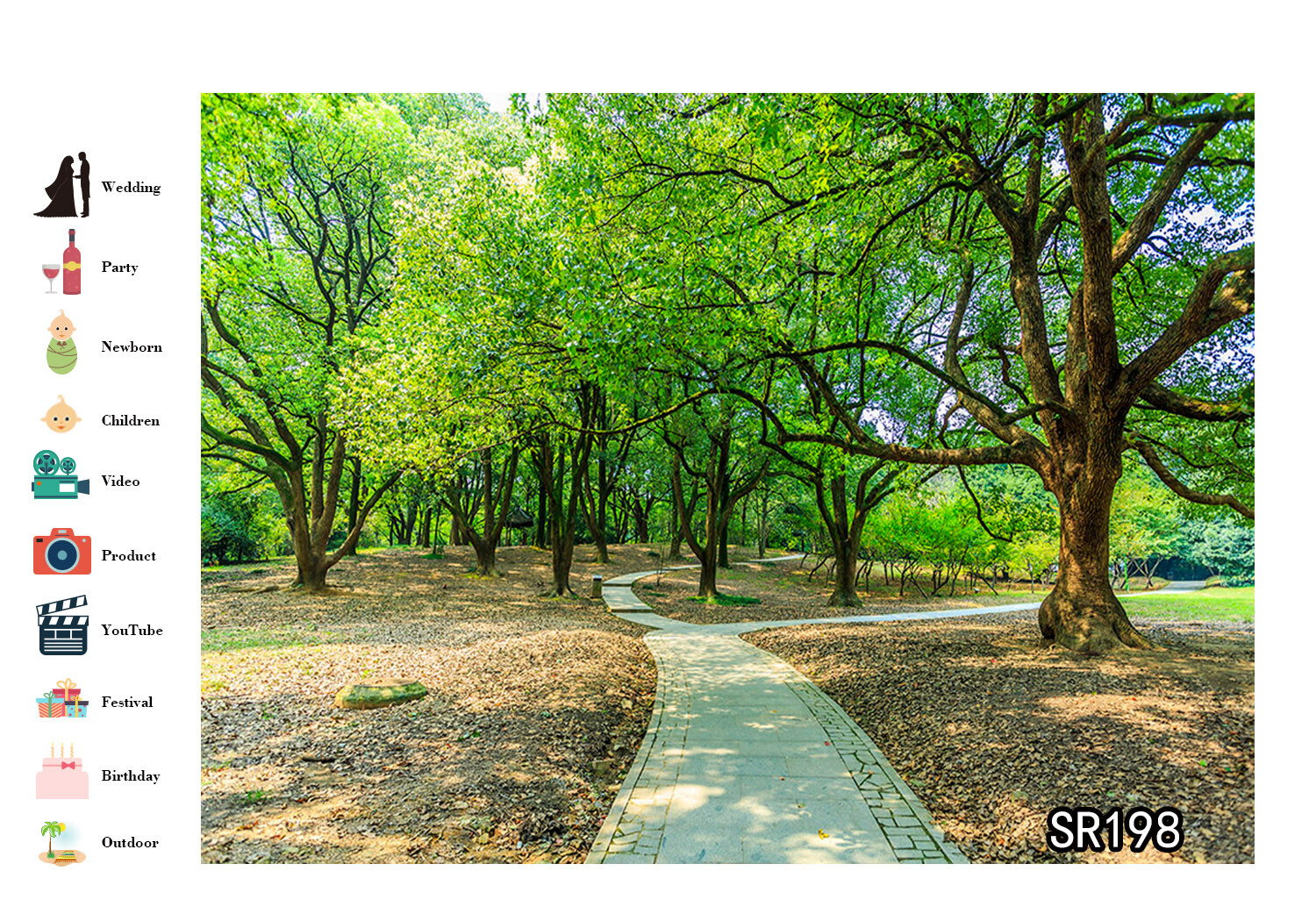10x8ft Photo Background Vinyl Studio Backdrop Sunlight Summer Forest Green Trees