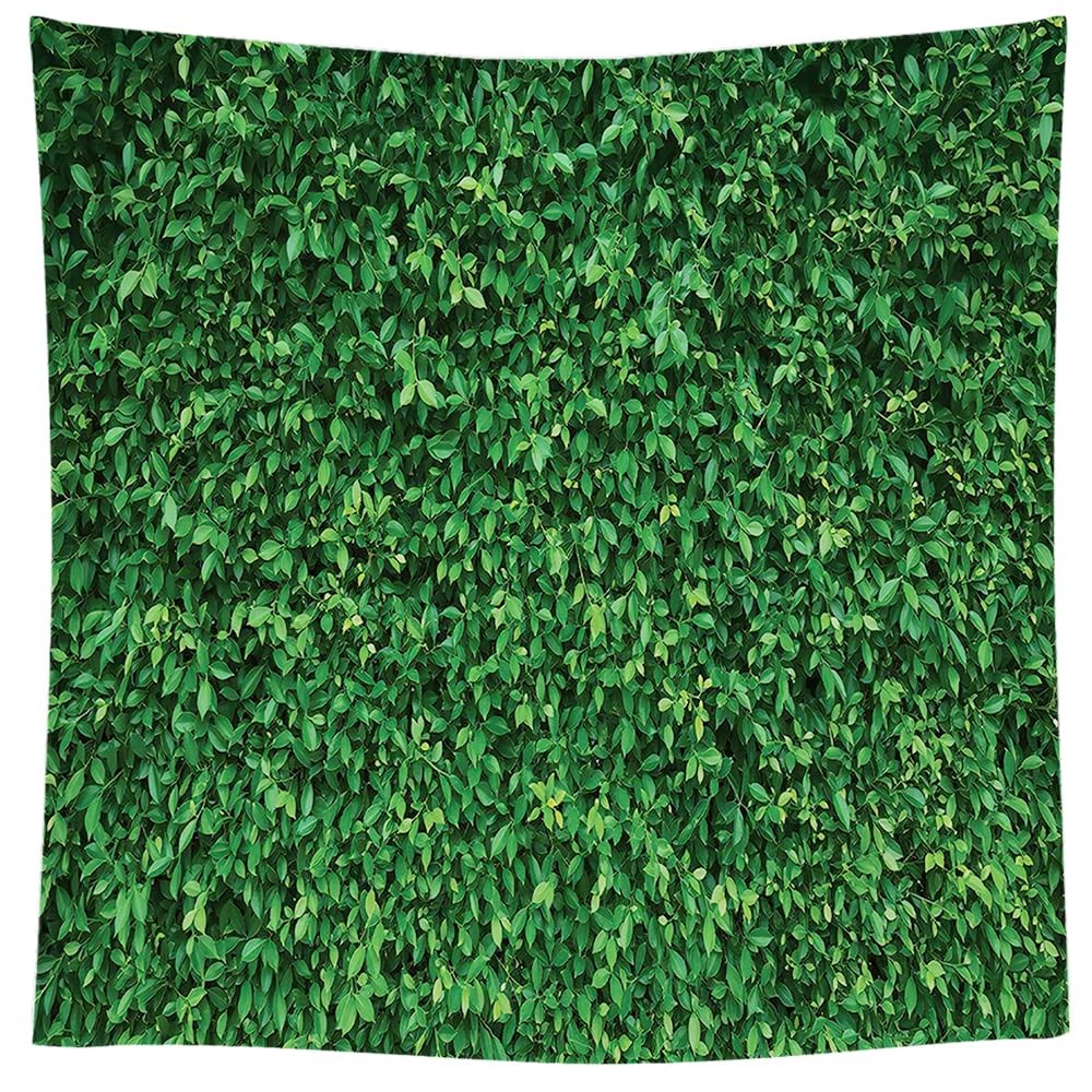 Grass Wall Backdrop 5x5ft Green Leaves Lawn Photography Greenery Decor Party