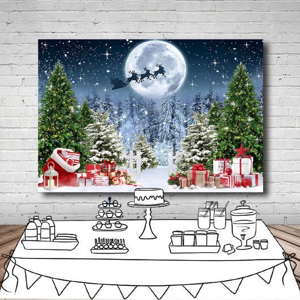 7X5 FT Christmas Scene Backdrop Xmas Tree Winter Forest Scene Wonderland North P