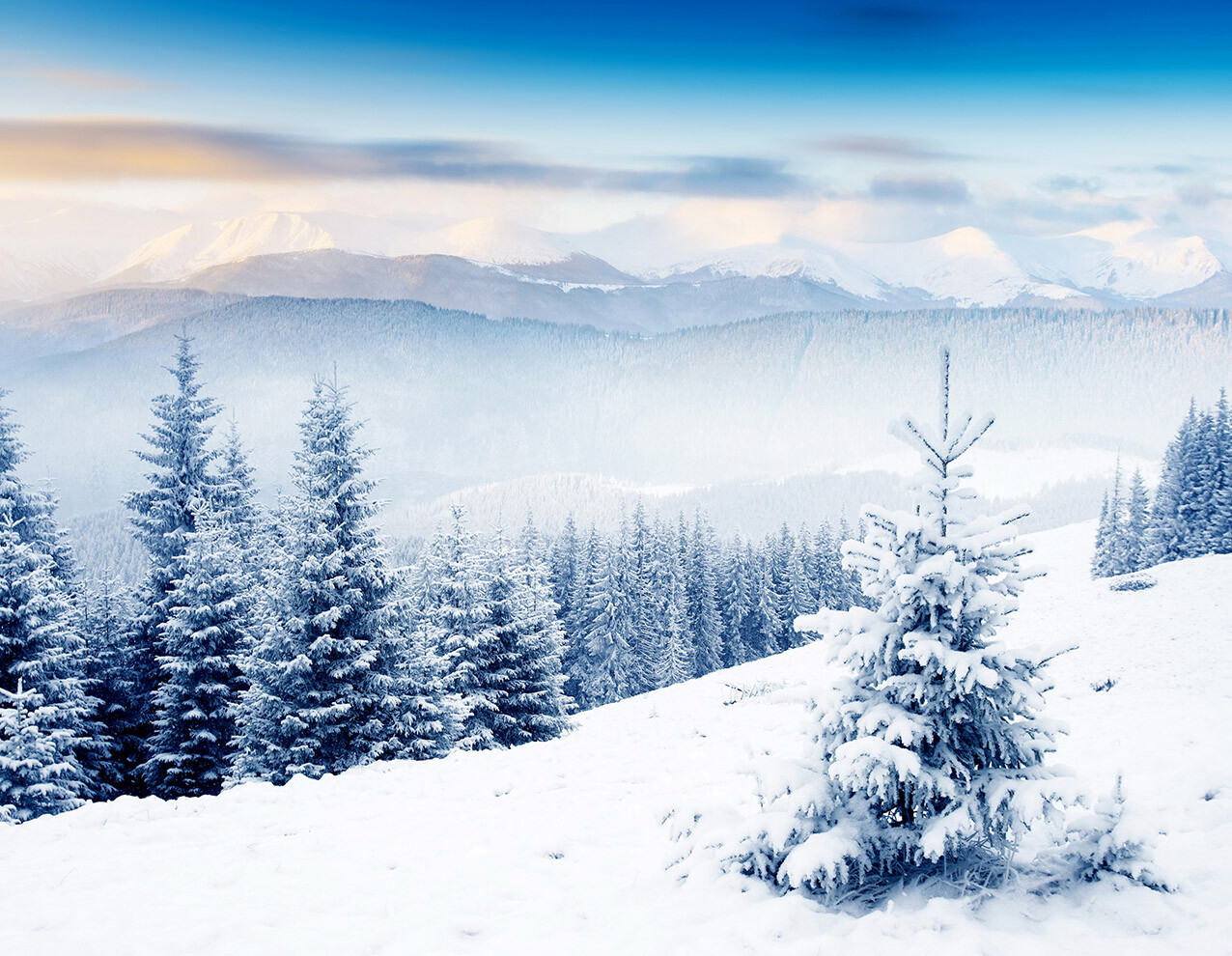 10x8ft Winter Snow Mountain Landscape Pine Trees Photo Background Vinyl Backdrop