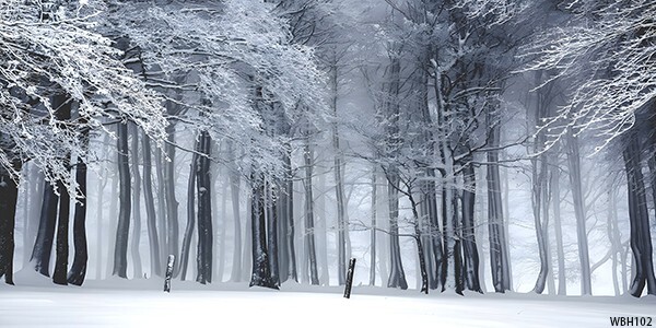 20’x10′ CP Winter Snow Trees Scenic Microfiber Fabric background backdrop WBH102