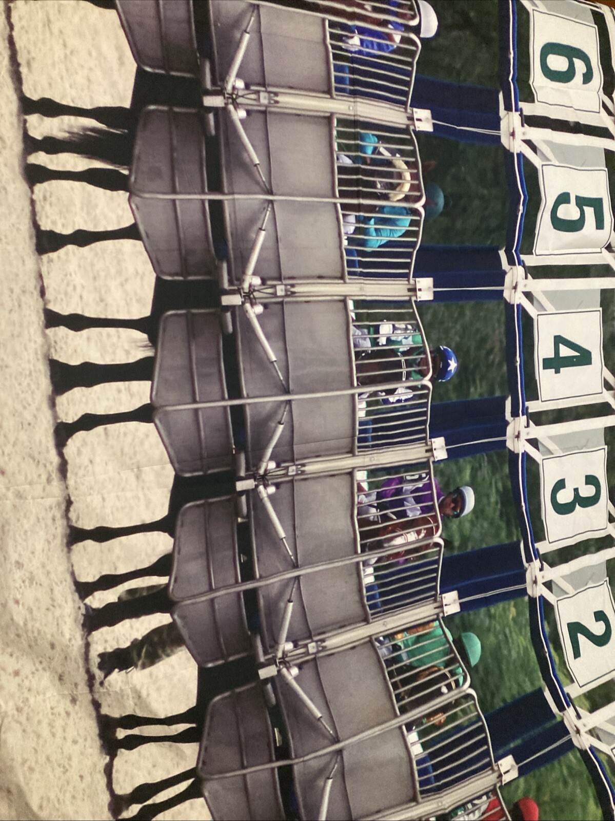 Horse Racing Photo Booth Backdrop Indoor … 7ftx5ft
