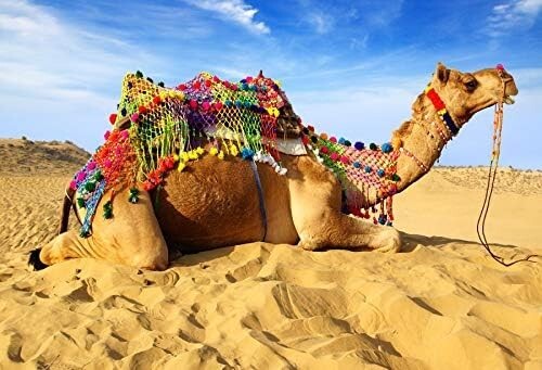8x6ft Camel Desert Backdrop Dune Dry Sands Caravan Photography Blue Sky Hot