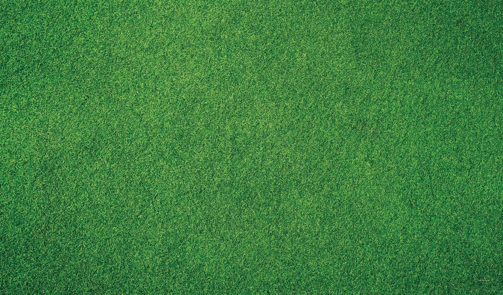 Kate Photography Floor Mats Green Grassland Backdrop 8x5ft, Grass