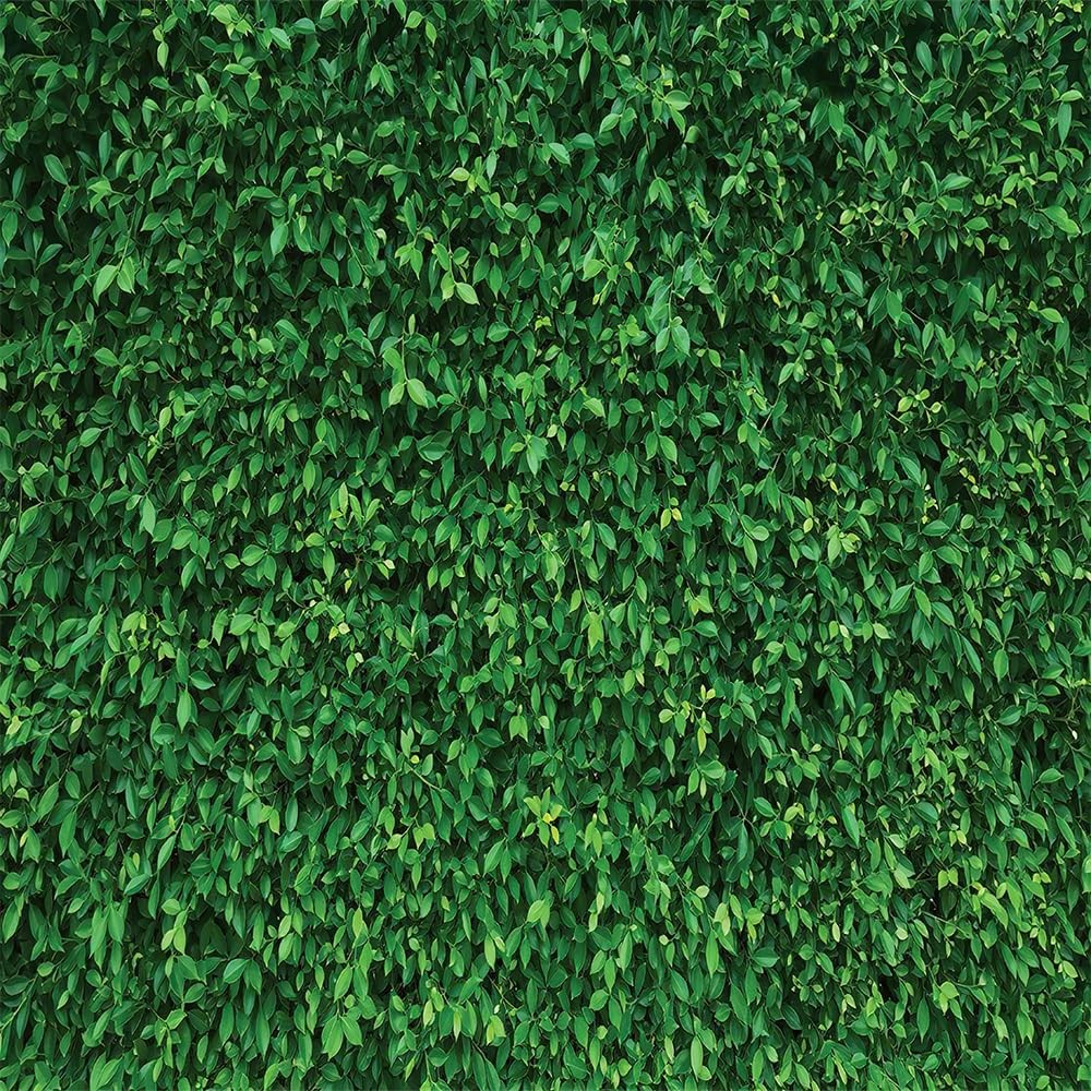 Grass Wall Backdrop 5x5ft Green Leaves Lawn Photography Greenery Decor Party