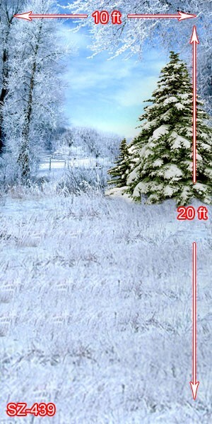 10’x20′ CP Christmas Season Scenic Microfiber Fabric background backdrop SZ439