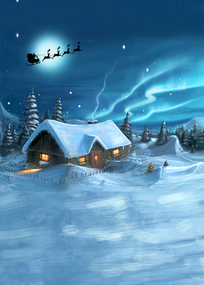 Christmas Cottage Backdrop Winter Snow Forest Photo Background Studio Props