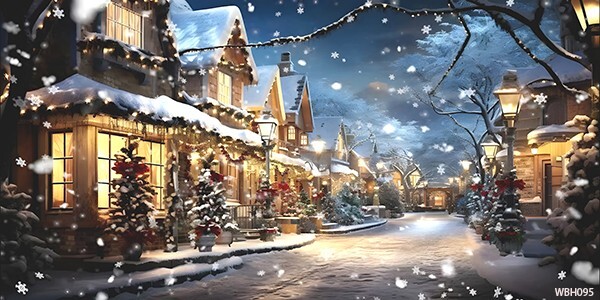 20’x10’CP Winter Snow Street Scenic Microfiber Fabric background backdrop WBH095