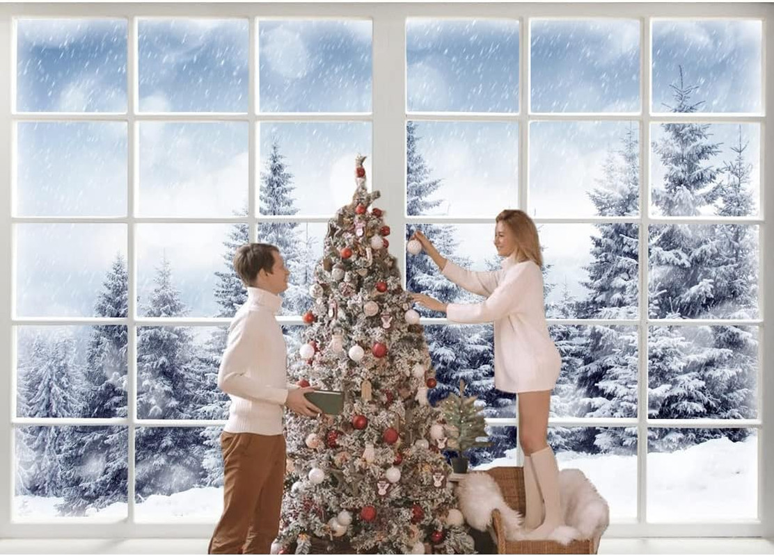 10×6.5ft Winter Forest Window Backdrop – Baby Newborn Winter Wonderland Backdrop