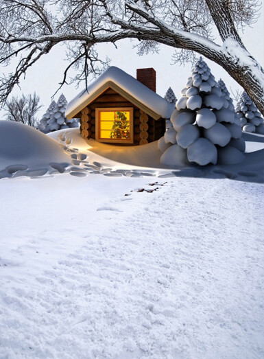 Snow Photography Background Winter Photographic Backdrop Christmas Stage Party