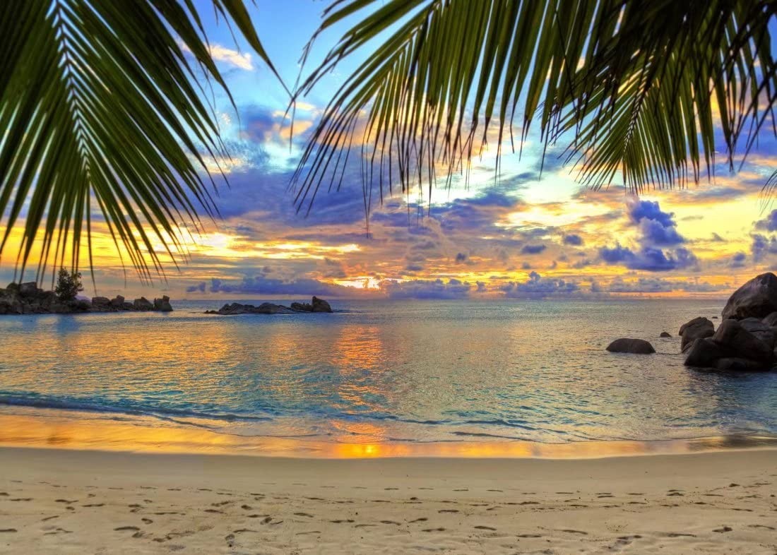 Sunset Beach Backdrop 7x5ft Fabric Summer Tropical Sea Palm Tree Hawaii Scene…