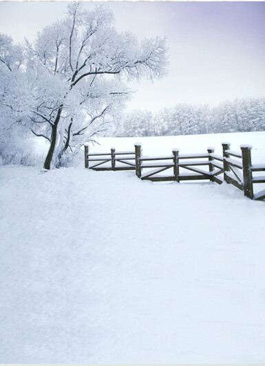 Snow Photography Background Winter Photographic Backdrop Christmas Stage Party