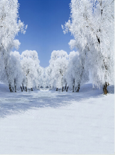 Snow Photography Background Winter Photographic Backdrop Christmas Stage Party