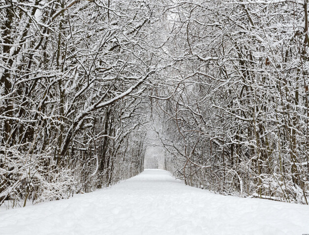 Snow Photography Background Winter Photographic Backdrop Christmas Stage Party