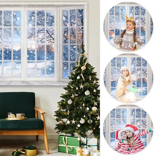 Winter Snow Window Scene Backdrop 8x6ft Tree Rime Snowfield Style 1