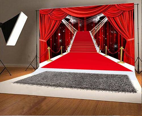 stage 5’x7′ Computer/ Digital Scenic Vinyl Photo Background Backdrop BHS108