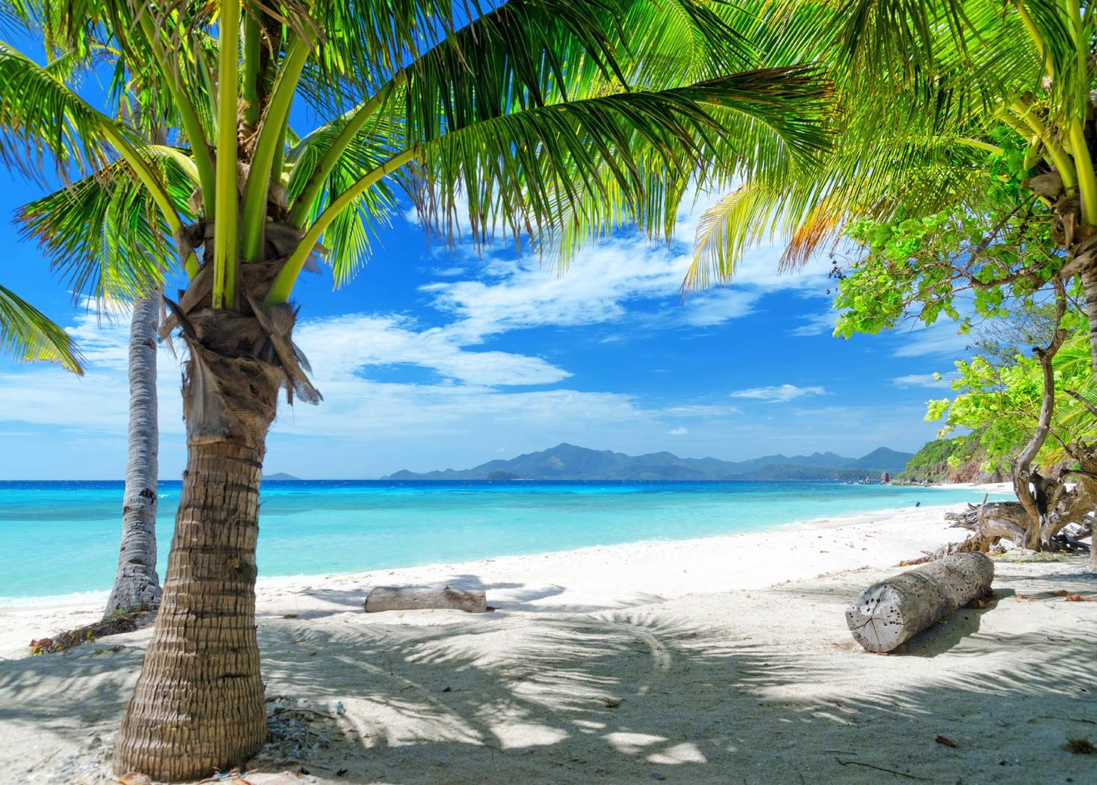 7x5ft Tropical Summer Beach Photography Backdrops Hawaiian Luau Party Blue Sk…